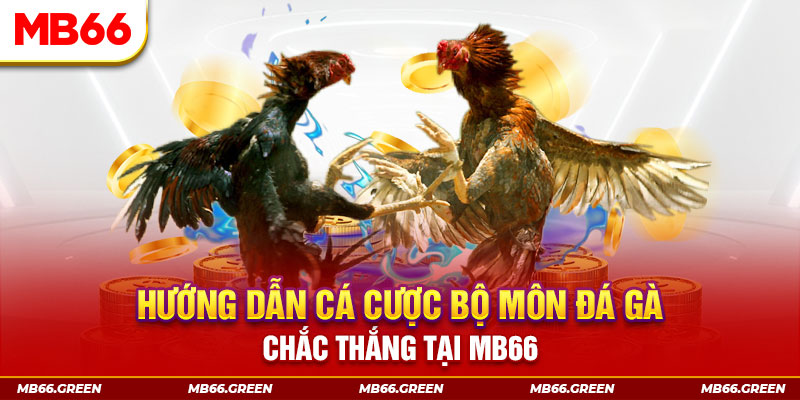 laptop 88 CQ9 Điện Tử