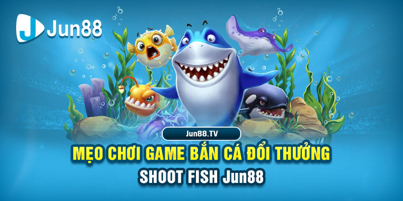 laptop 88 tai game danh bai bigkool ve may tinh