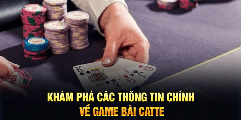 laptop 88 Trăm người Bo tám Bo chín