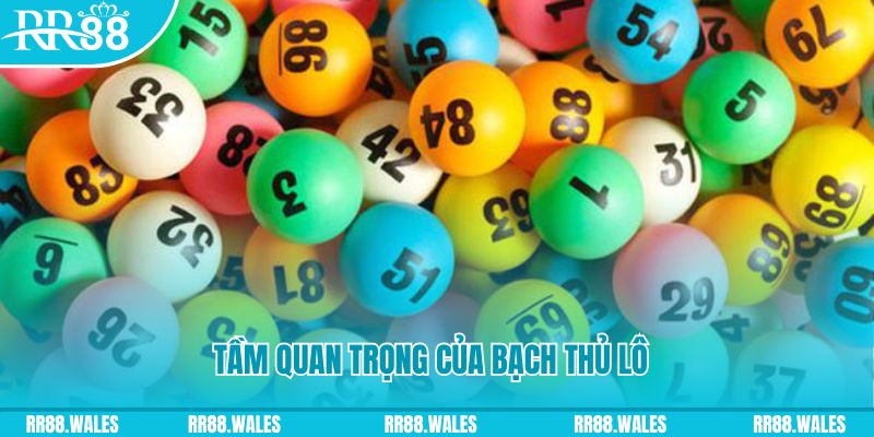 laptop 88 đá gà trực tiếp casino