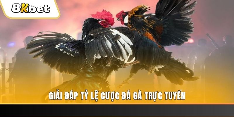 laptop 88 xổ số ba đài