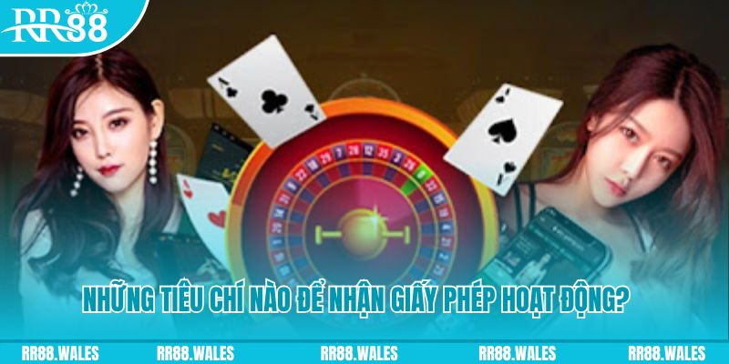 laptop 88 casino ở đâu
