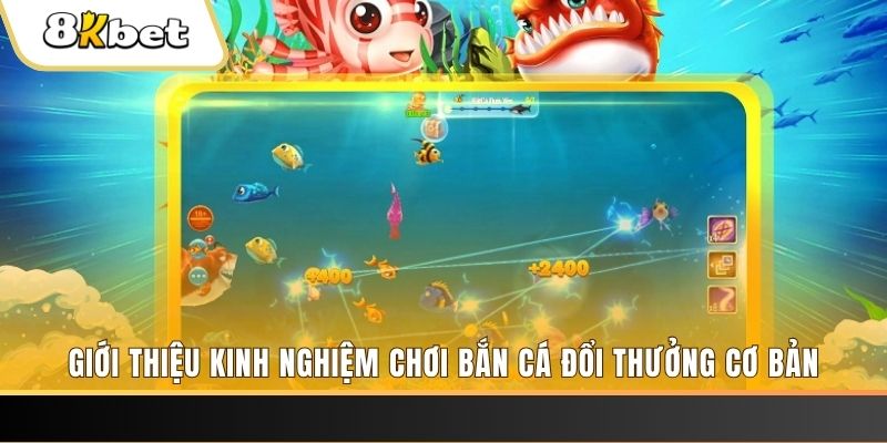 laptop 88 8 bí ẩn chơi nổ hũ ít ai biết