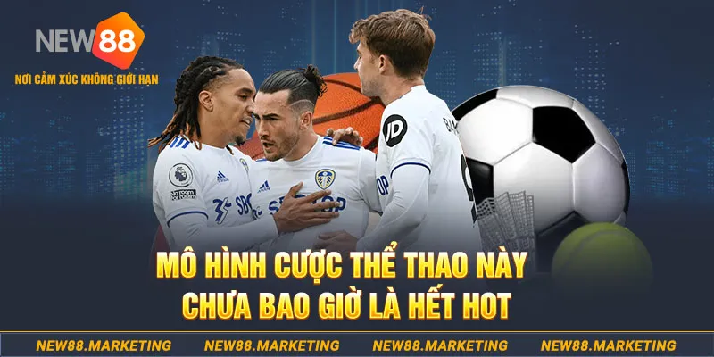 laptop 88 gà chọi c1 thomo