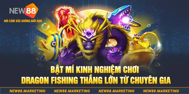 laptop 88 who wants to be a millionaire slot